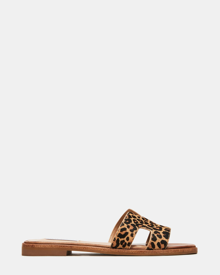 HADYN-L LEOPARD - Women's Shoes - Steve Madden Canada