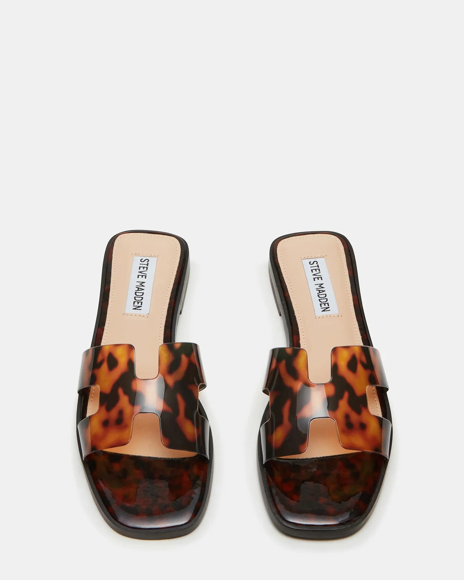 HADYN TORTOISE - Women's Shoes - Steve Madden Canada