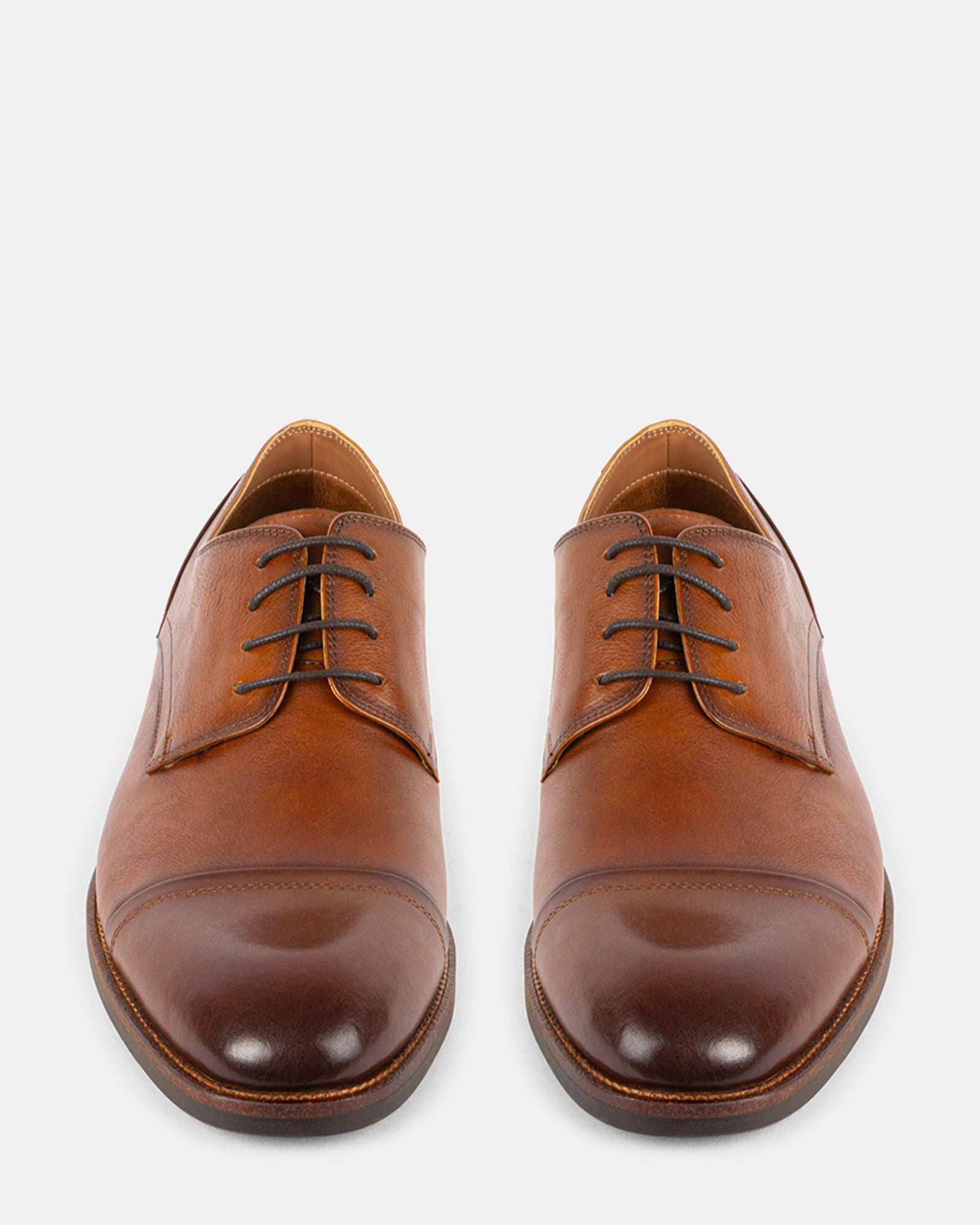 NORVERTT TAN LEATHER - Men's Shoes - Steve Madden Canada