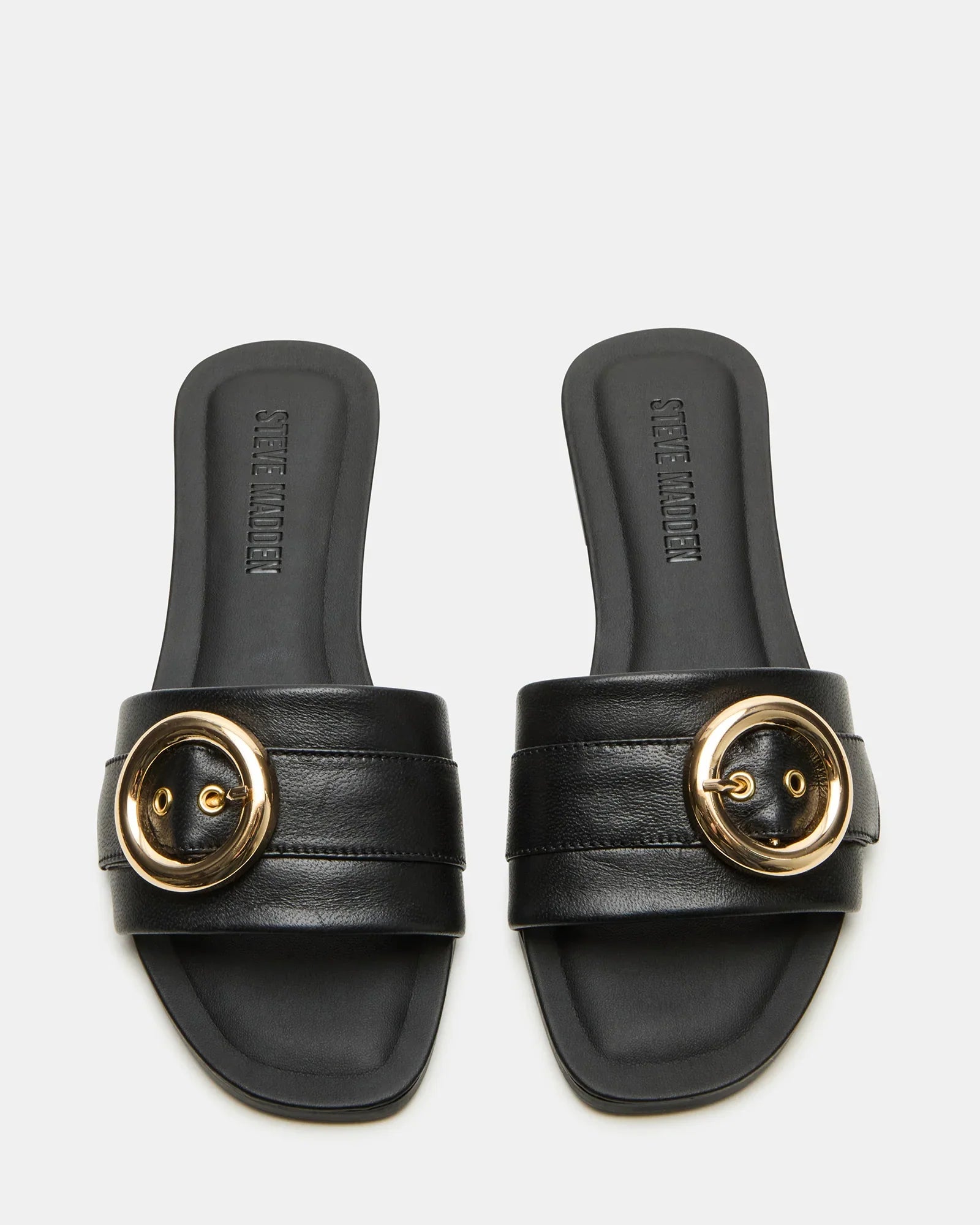 REEFF BLACK LEATHER - Women's Shoes - Steve Madden Canada