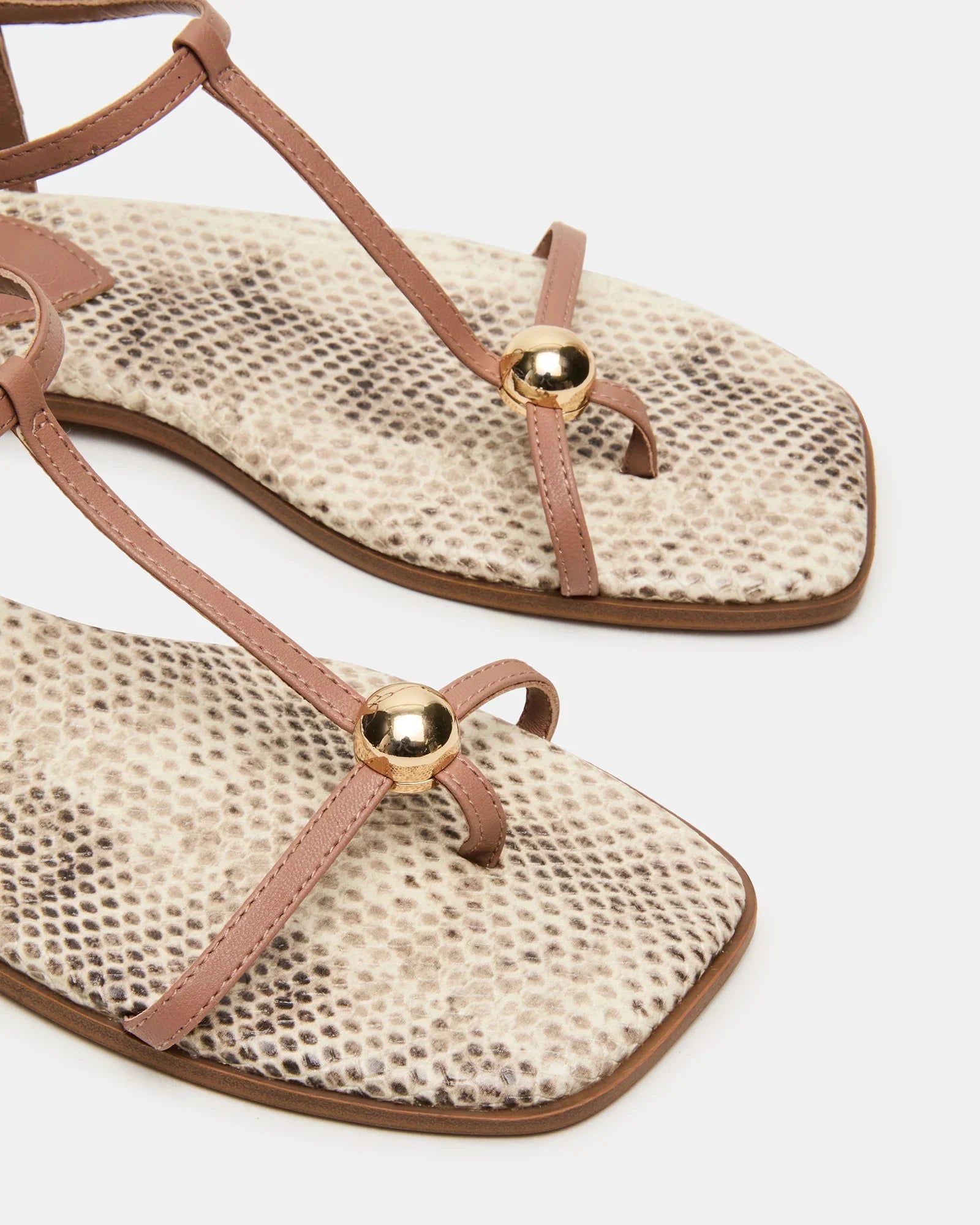 RITZY SNAKE - Women's Shoes - Steve Madden Canada