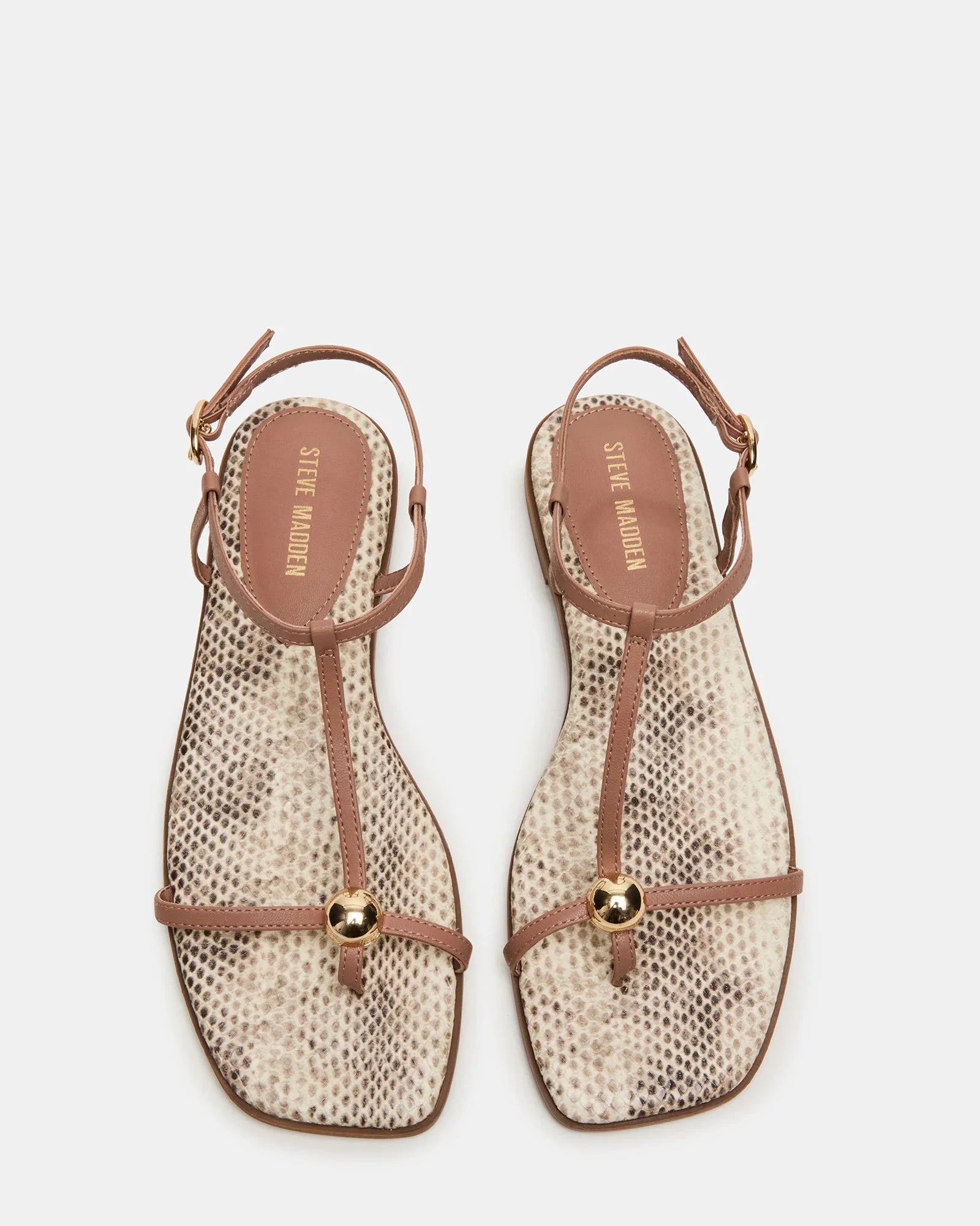 RITZY SNAKE - Women's Shoes - Steve Madden Canada