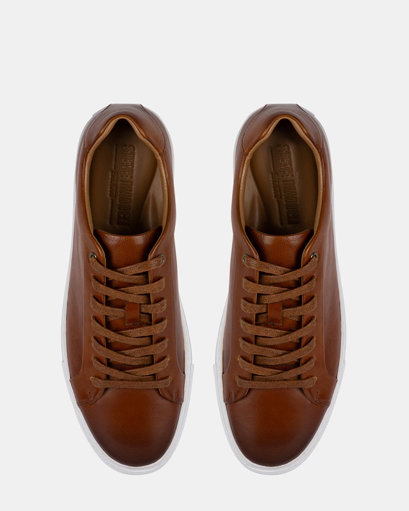 RYLEE TAN LEATHER - Men's Shoes - Steve Madden Canada