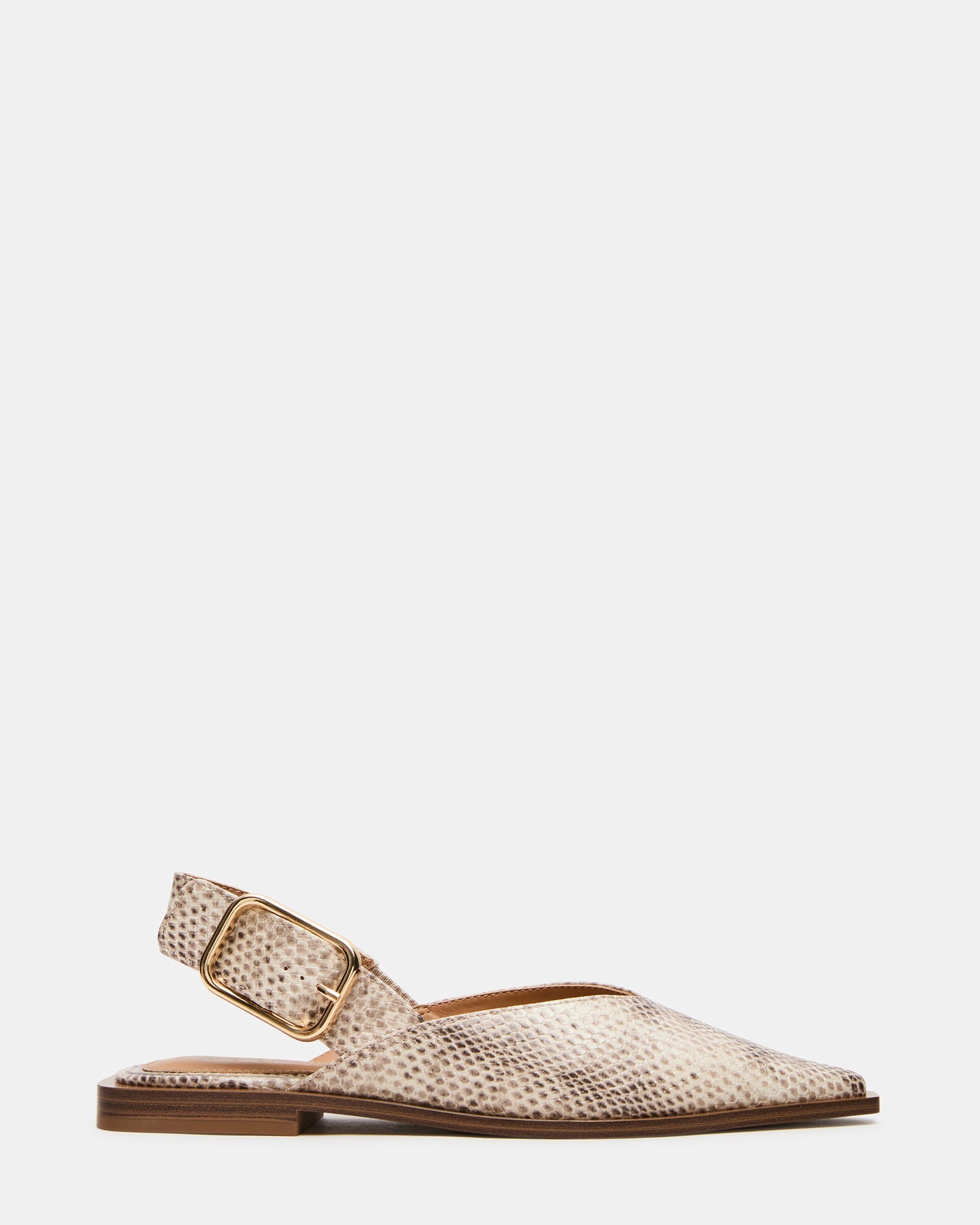 SHAY SNAKE - Women's Shoes - Steve Madden Canada