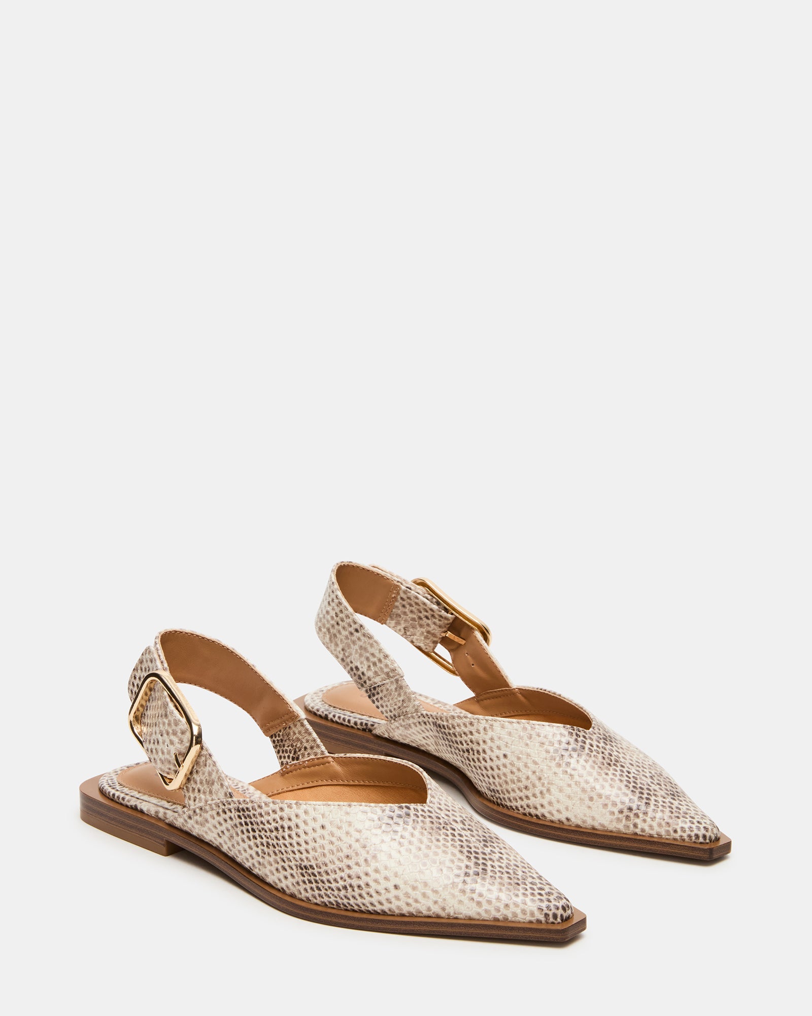 SHAY SNAKE - Women's Shoes - Steve Madden Canada