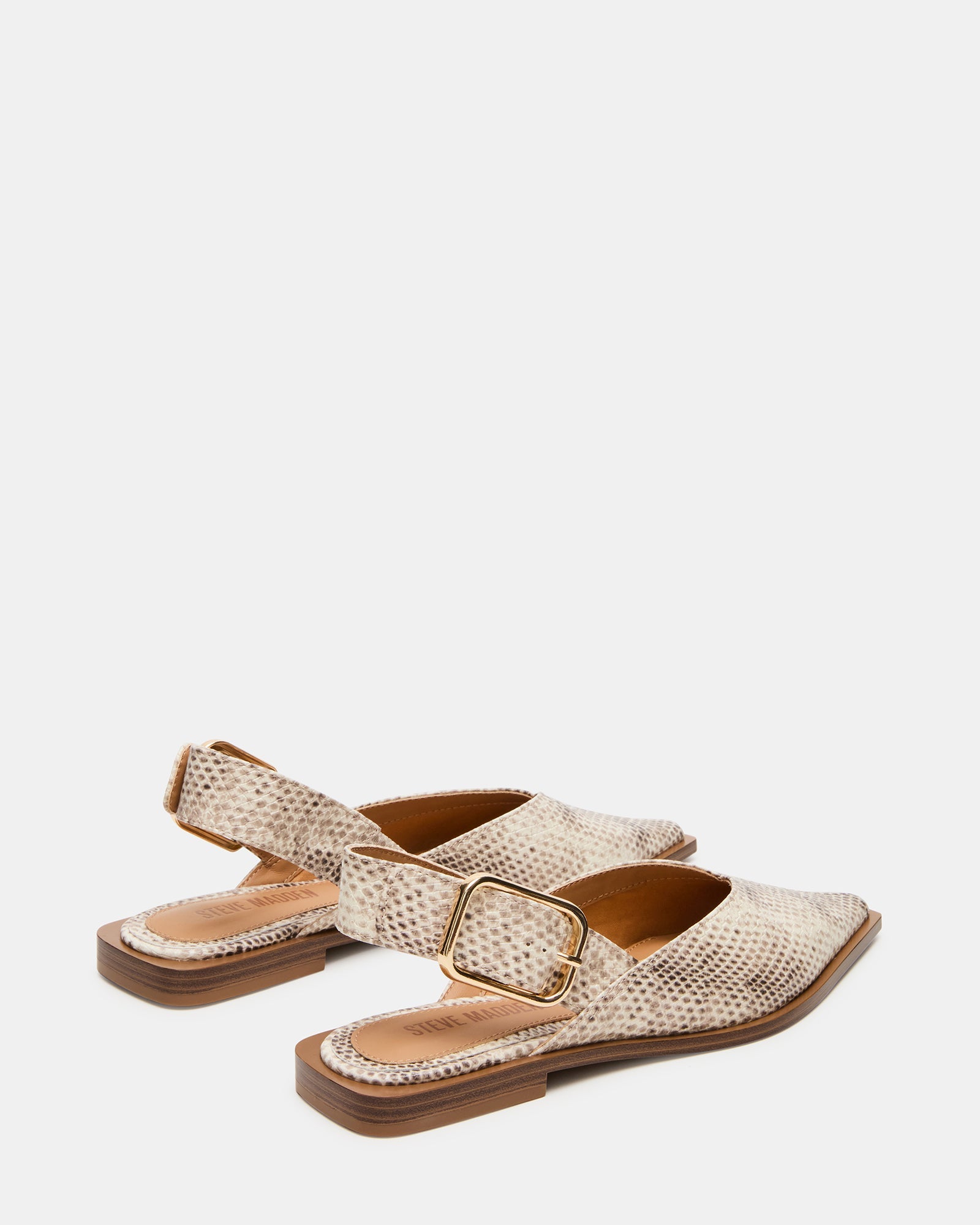 SHAY SNAKE - Women's Shoes - Steve Madden Canada