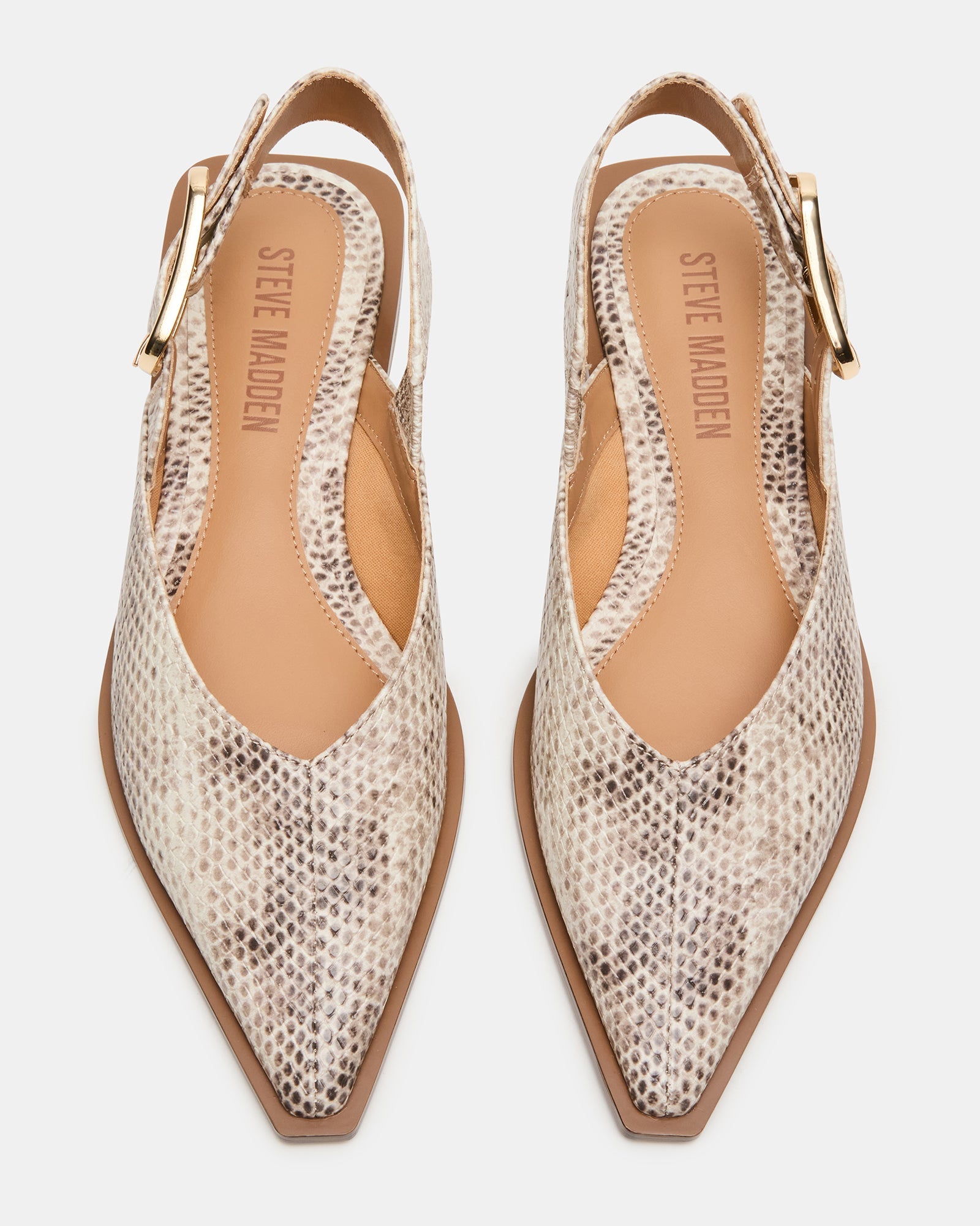 SHAY SNAKE - Women's Shoes - Steve Madden Canada
