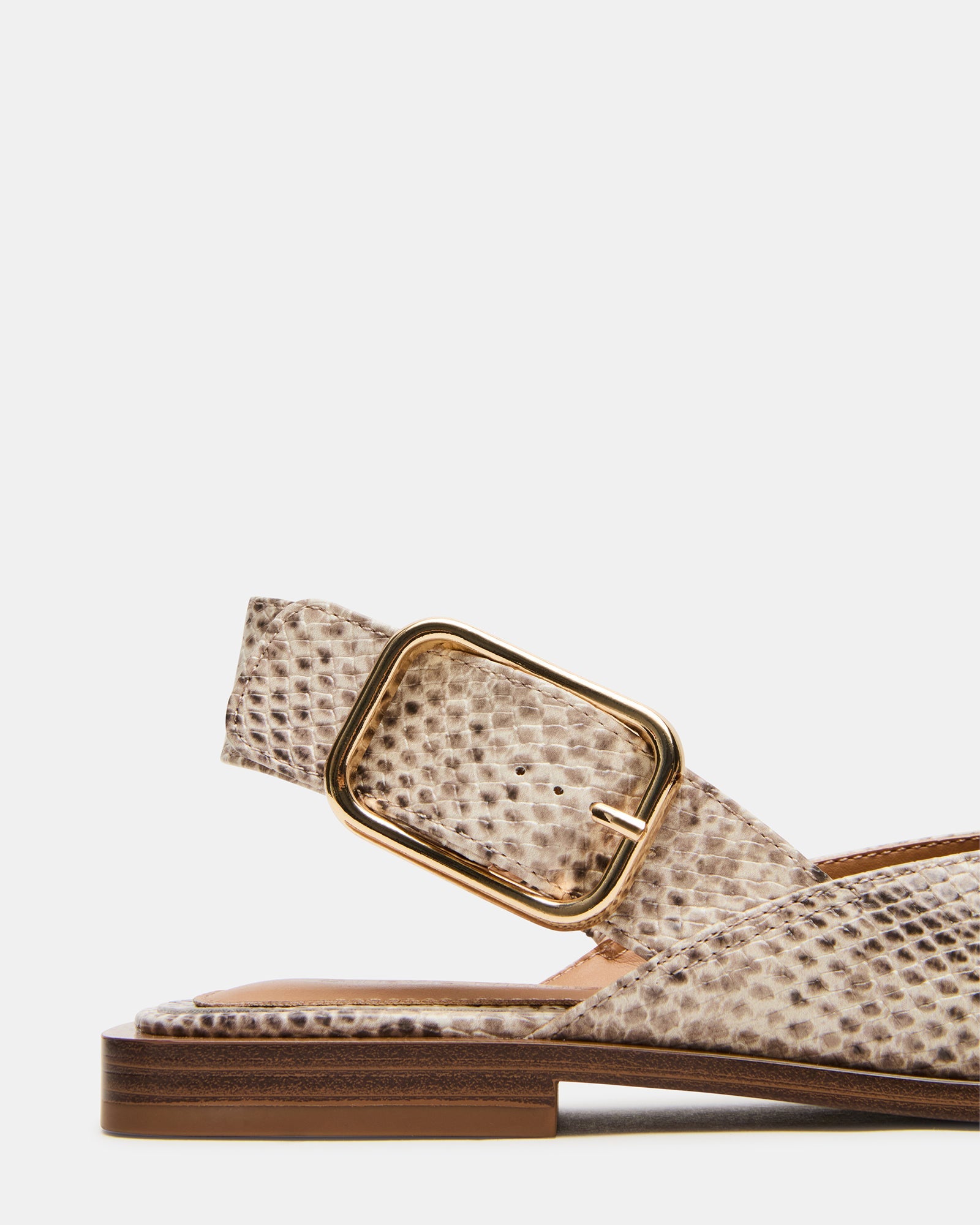 SHAY SNAKE - Women's Shoes - Steve Madden Canada
