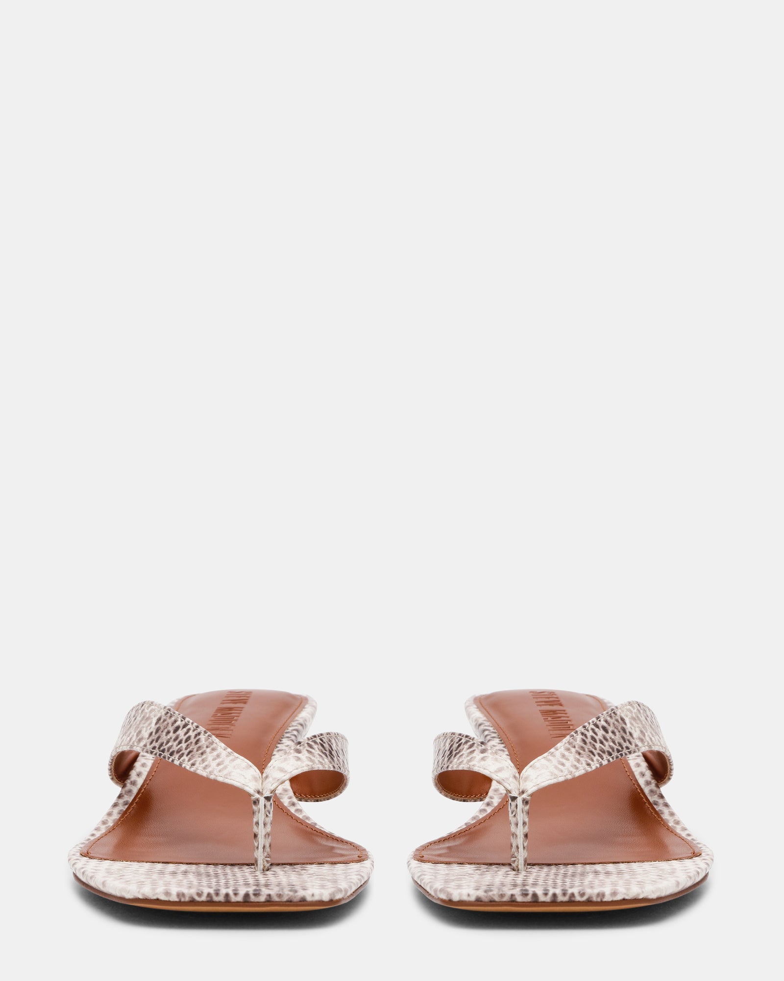 TRACIE SNAKE - Women's Shoes - Steve Madden Canada