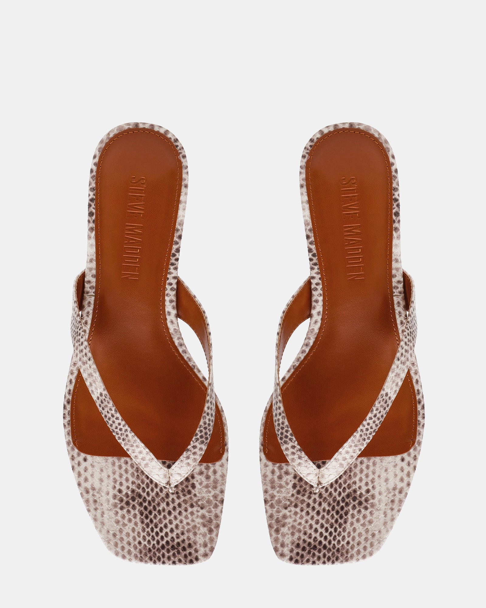 TRACIE SNAKE - Women's Shoes - Steve Madden Canada