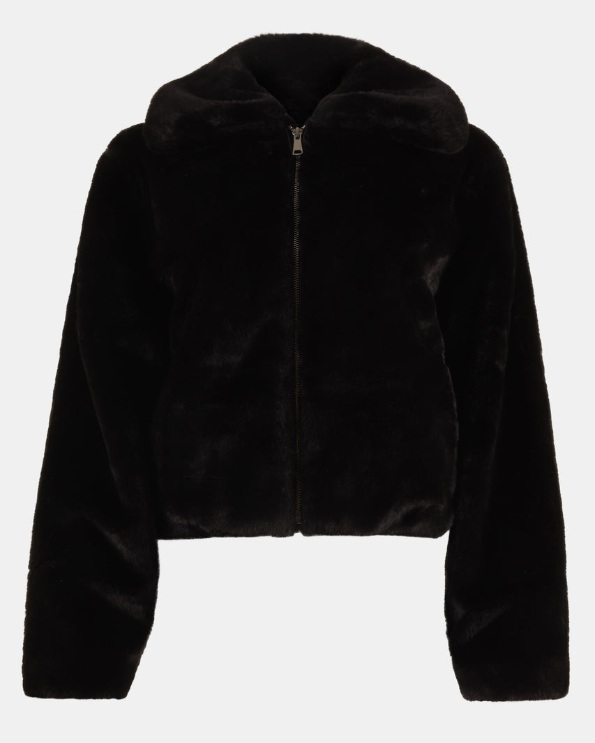 BROOK JACKET BLACK - Clothing - Steve Madden Canada