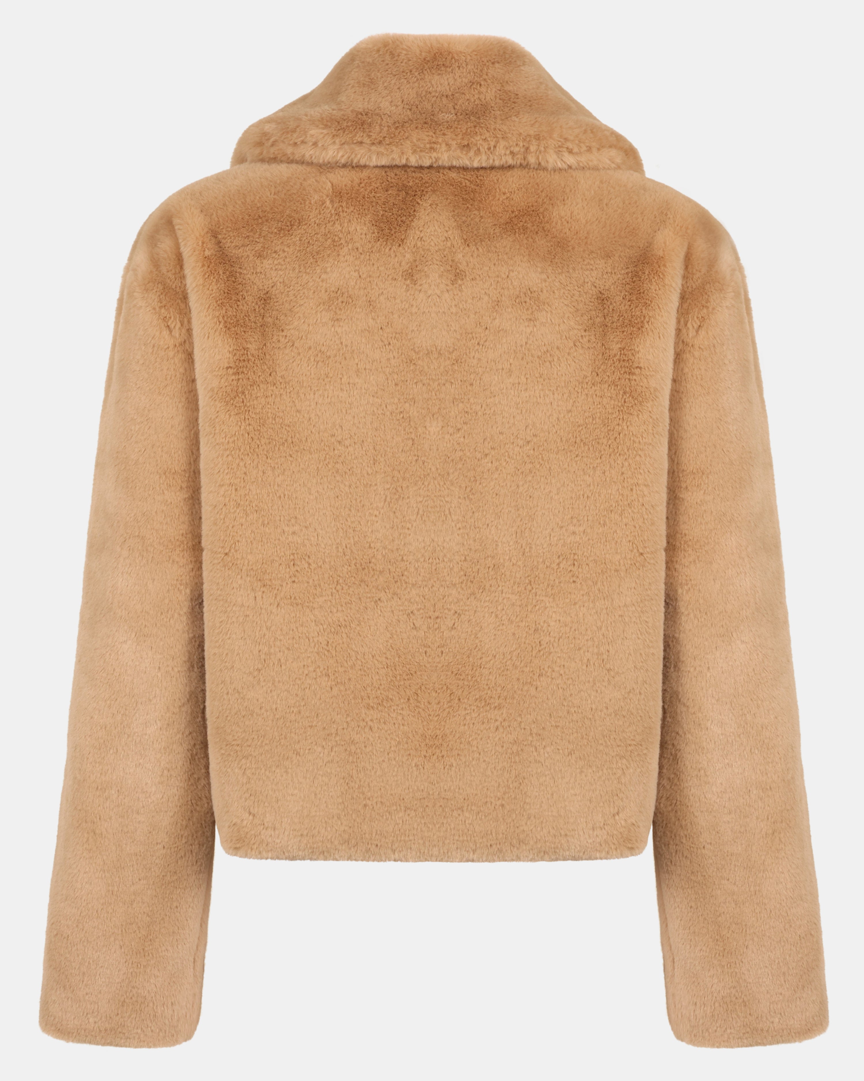 BROOK JACKET CAMEL - Clothing - Steve Madden Canada