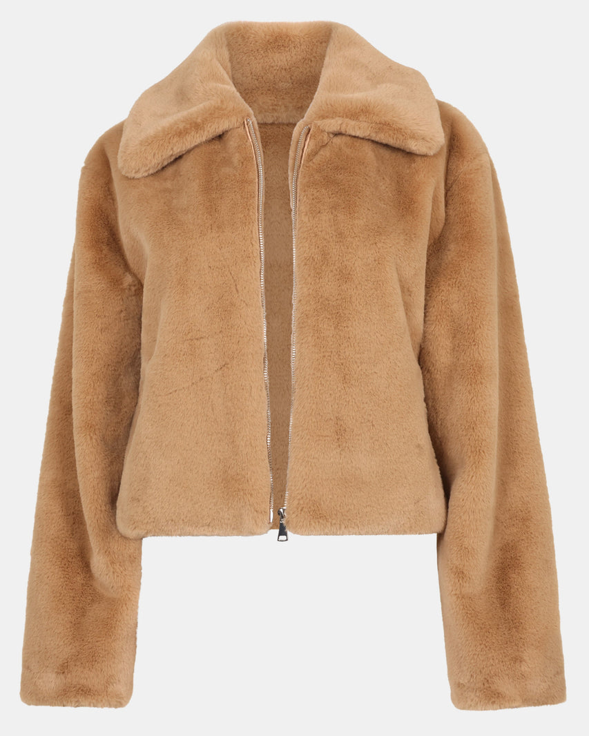 BROOK JACKET CAMEL - Clothing - Steve Madden Canada