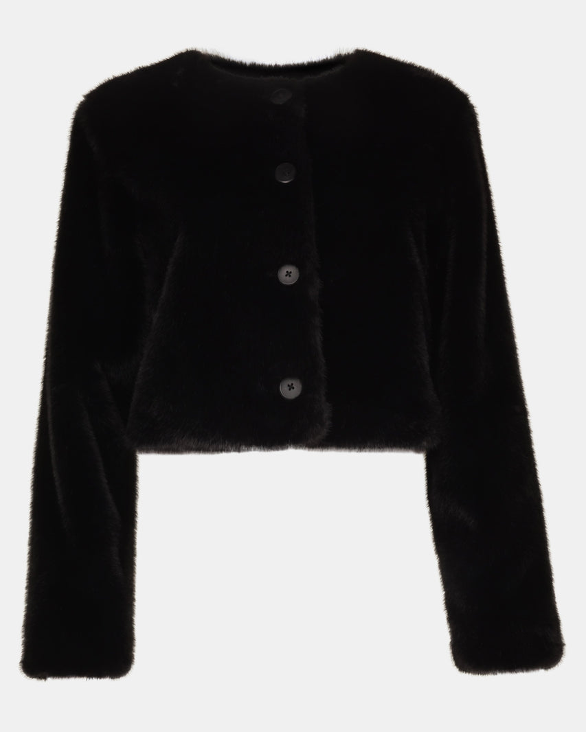JOEY JACKET BLACK - Clothing - Steve Madden Canada