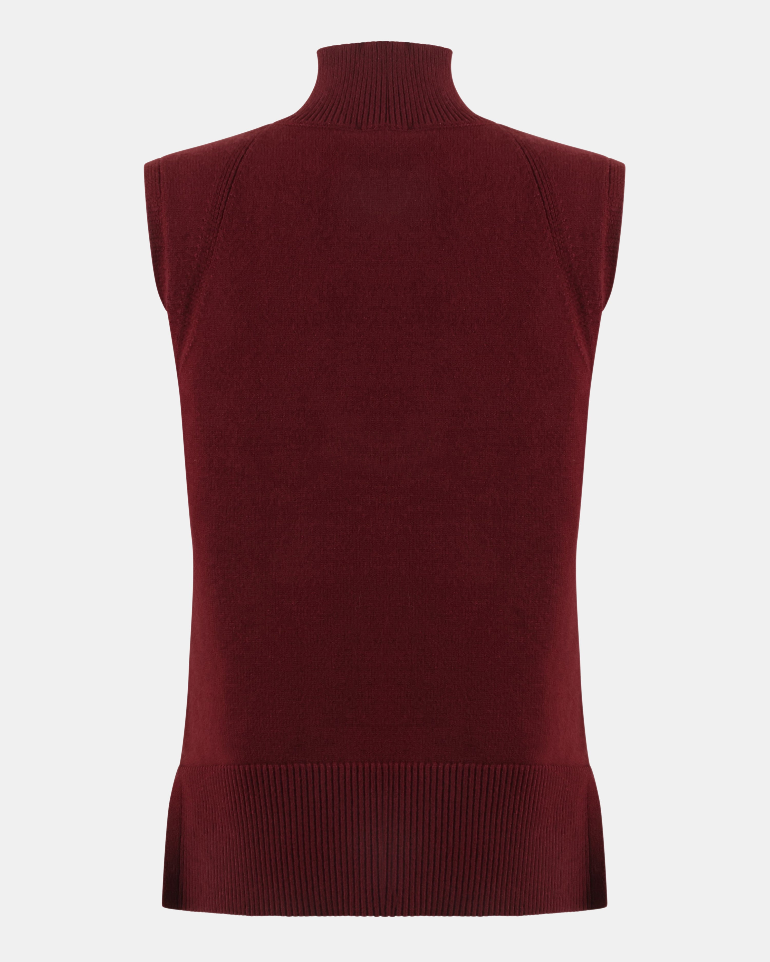 NATHALIE MOCK NECK TOP WINE - Clothing - Steve Madden Canada