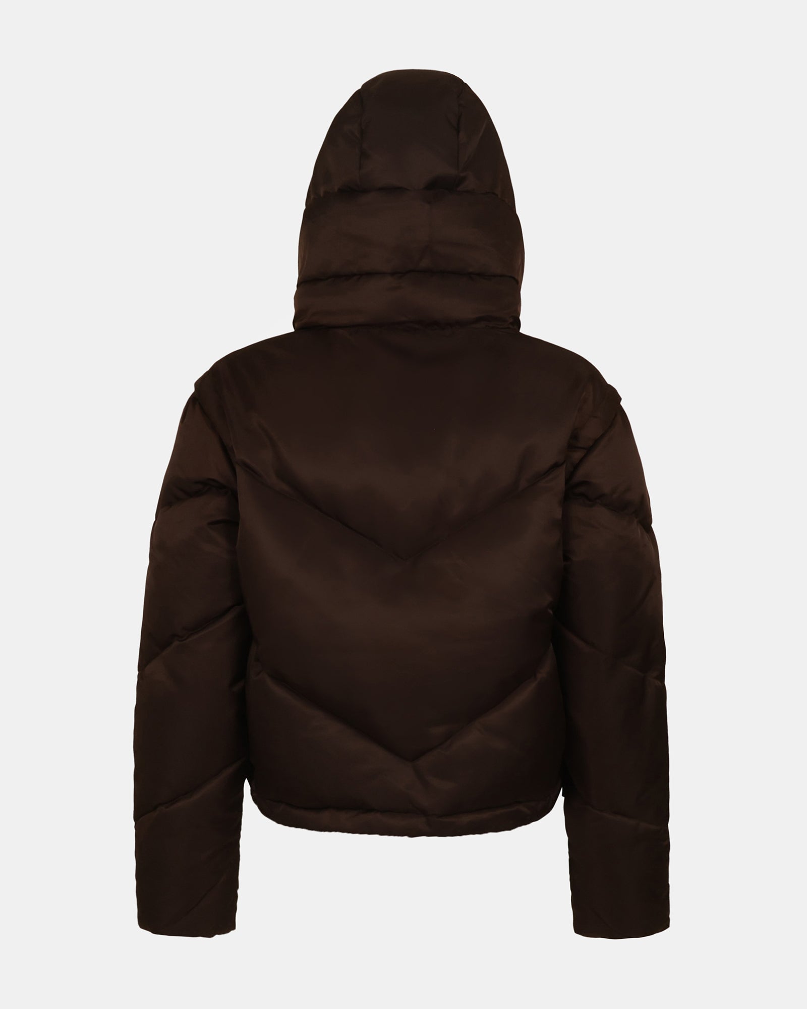 SARA COAT BROWN - Clothing - Steve Madden Canada