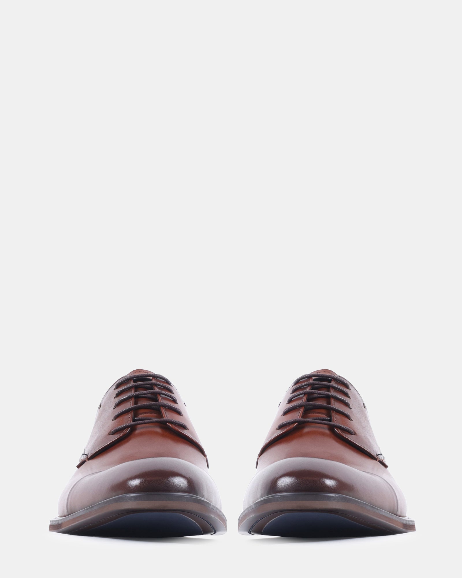 VANDER TAN LEATHER - Men's Shoes - Steve Madden Canada
