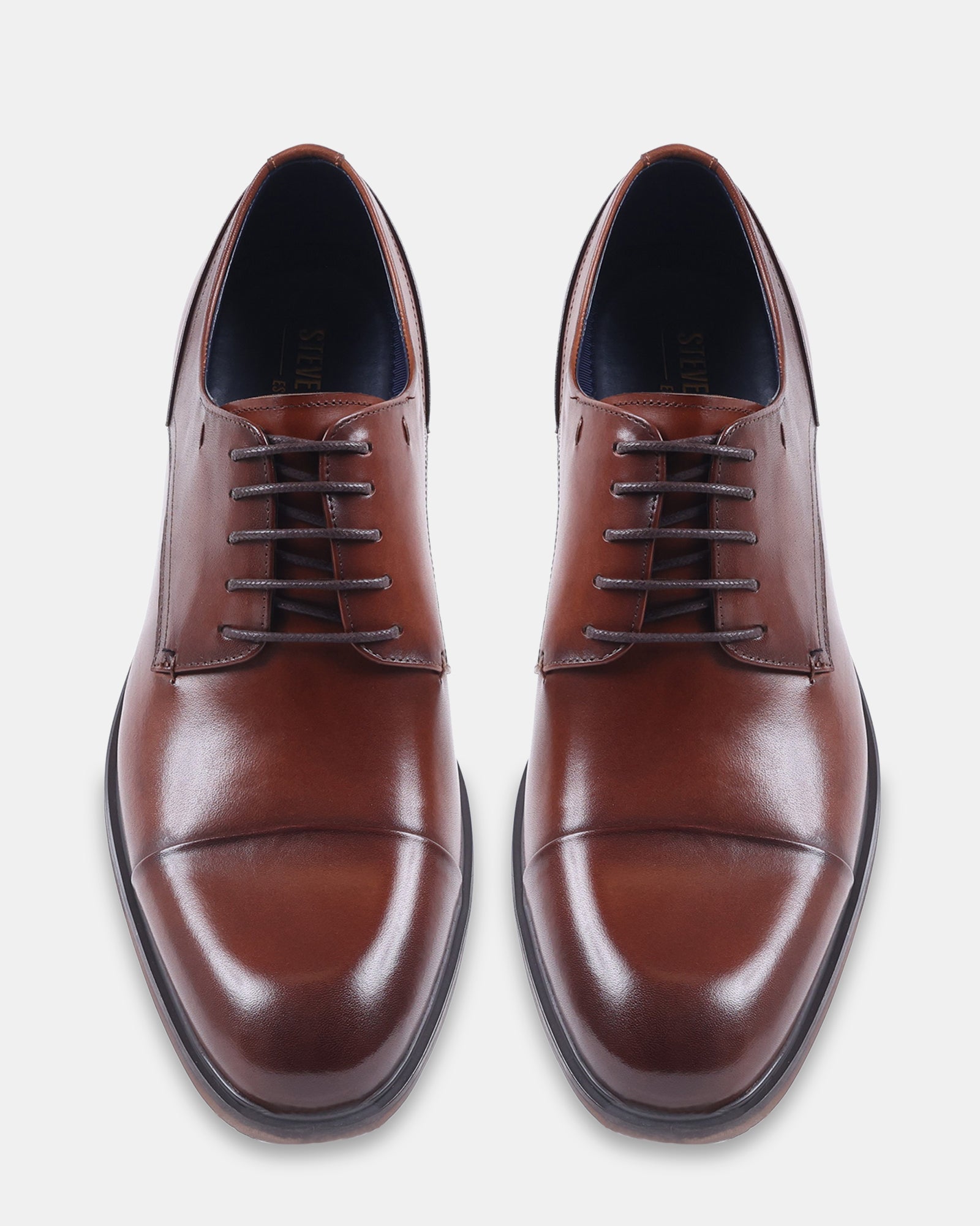 VANDER TAN LEATHER - Men's Shoes - Steve Madden Canada