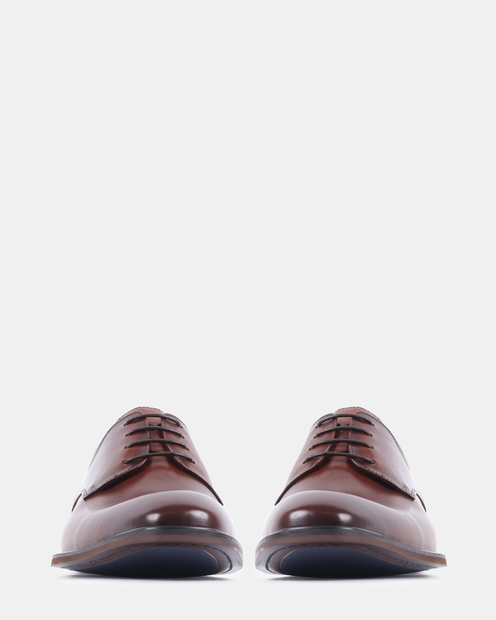 VICTOR TAN LEATHER - Men's Shoes - Steve Madden Canada