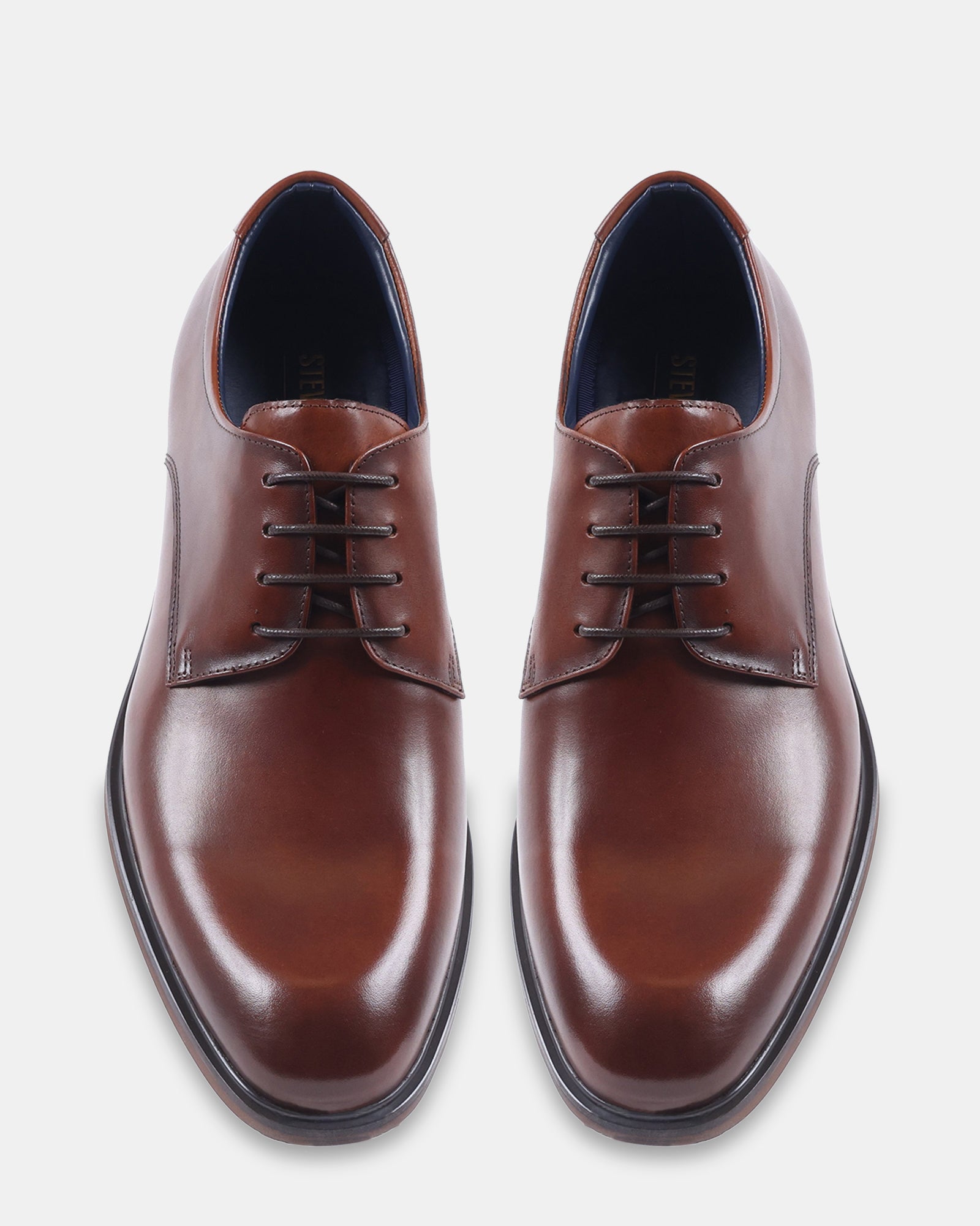VICTOR TAN LEATHER - Men's Shoes - Steve Madden Canada