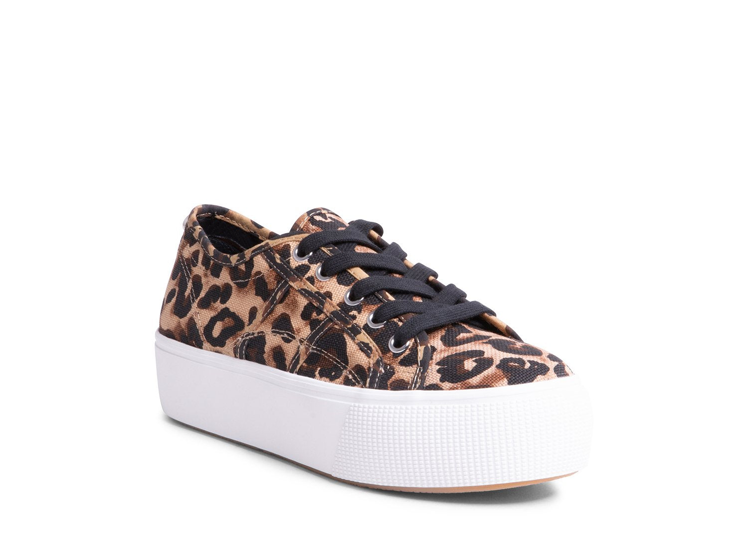 EMMI LEOPARD - Shoes - Steve Madden Canada