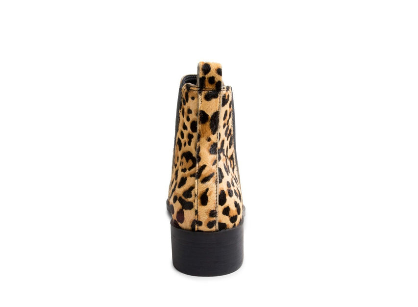 JONND-L LEOPARD - Shoes - Steve Madden Canada