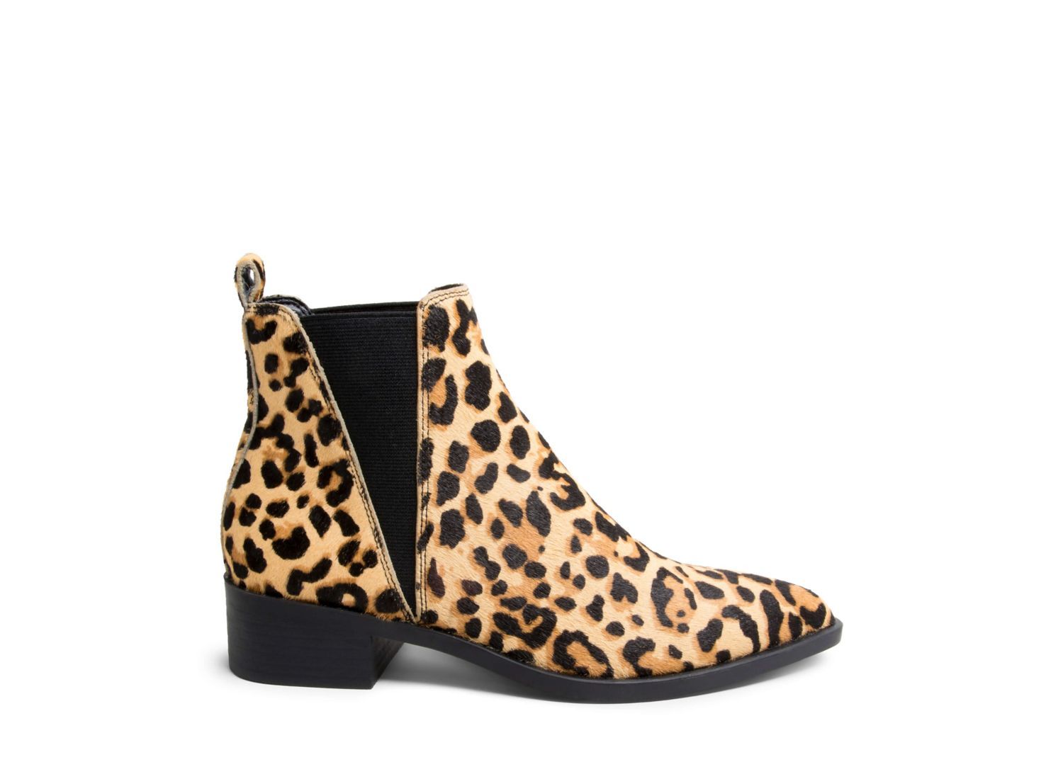 JONND-L LEOPARD - Shoes - Steve Madden Canada