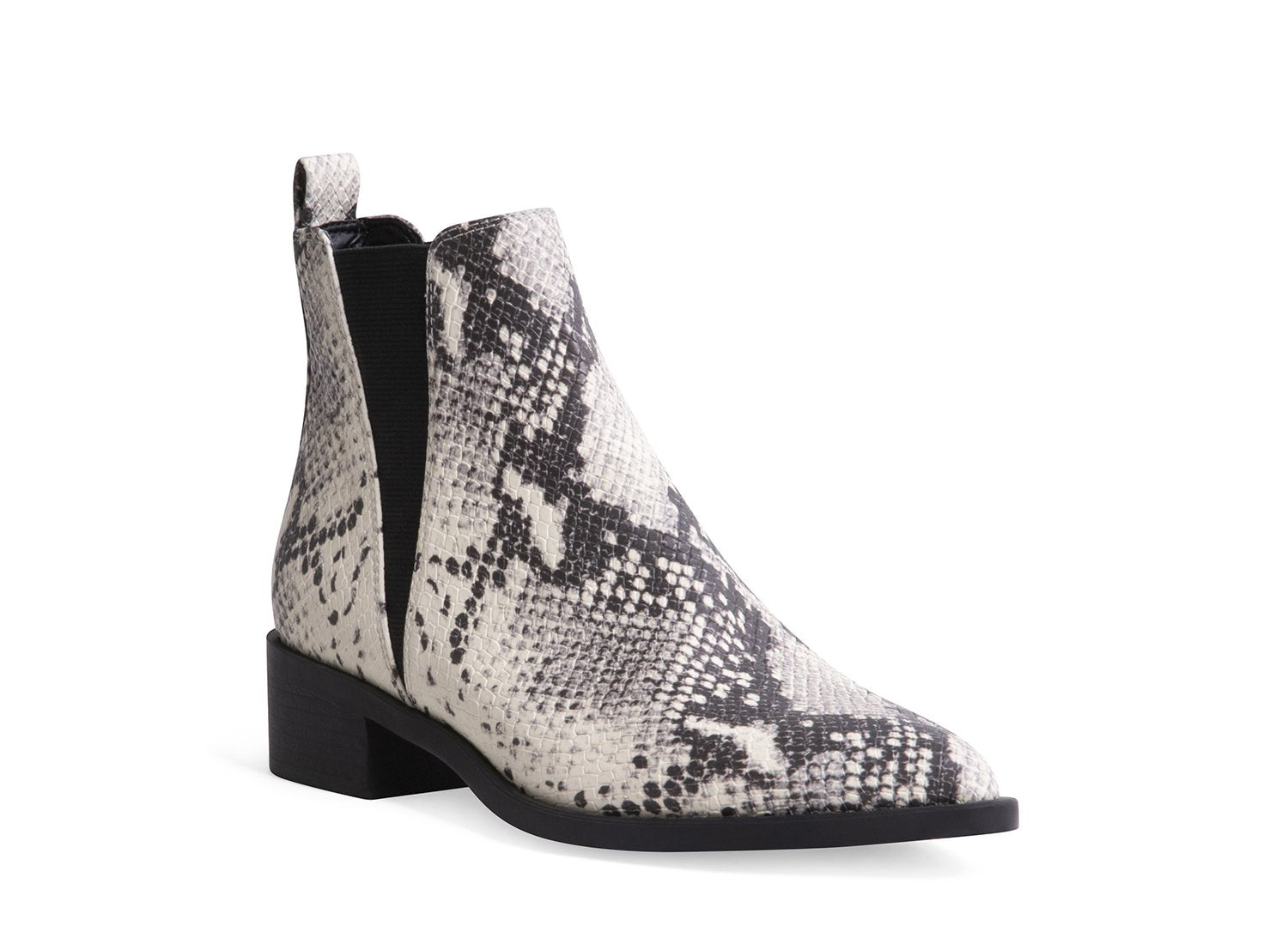 JONND NATURAL EXOTIC - Shoes - Steve Madden Canada