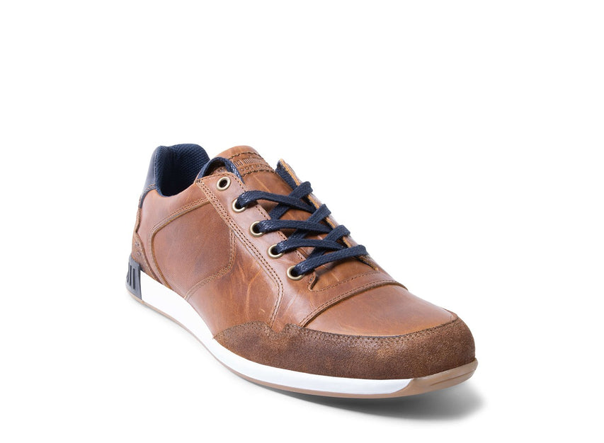 BRADY TAN LEATHER - Shoes - Steve Madden Canada
