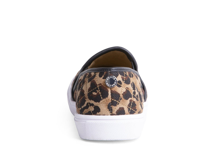 ECENTRIC-Q LEOPARD - Shoes - Steve Madden Canada