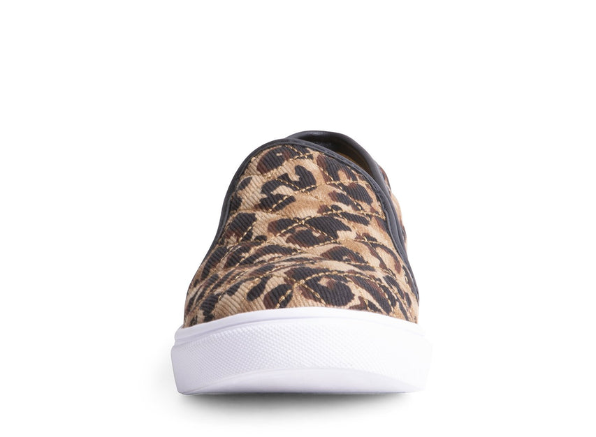 ECENTRIC-Q LEOPARD - Shoes - Steve Madden Canada
