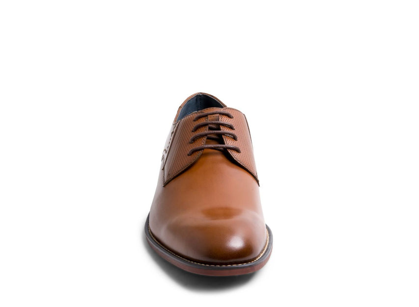 DERRYN TAN LEATHER - Shoes - Steve Madden Canada