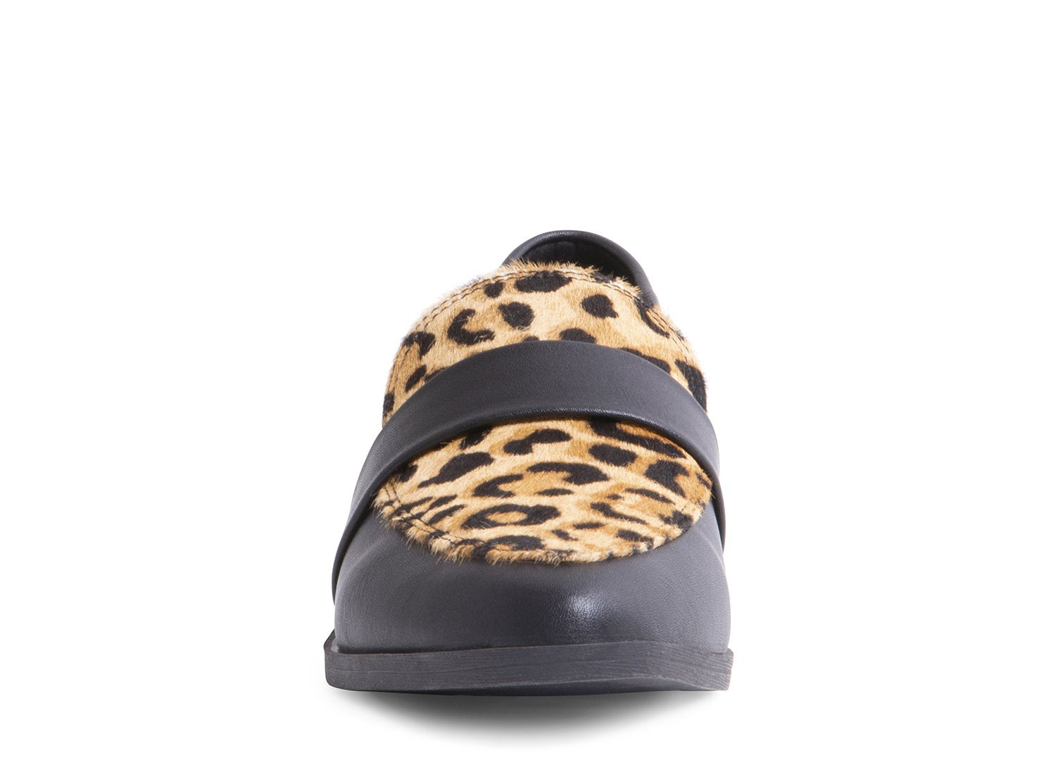 DORISAL LEOPARD MULTI - Shoes - Steve Madden Canada