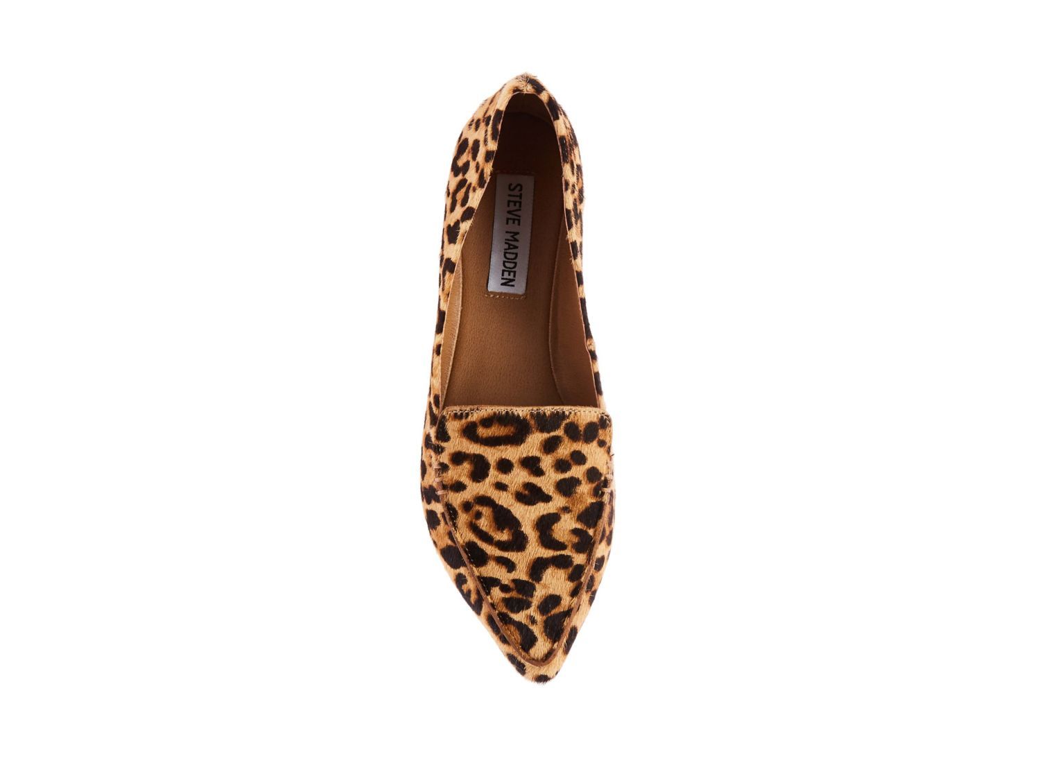 FEATHERL LEOPARD - Shoes - Steve Madden Canada