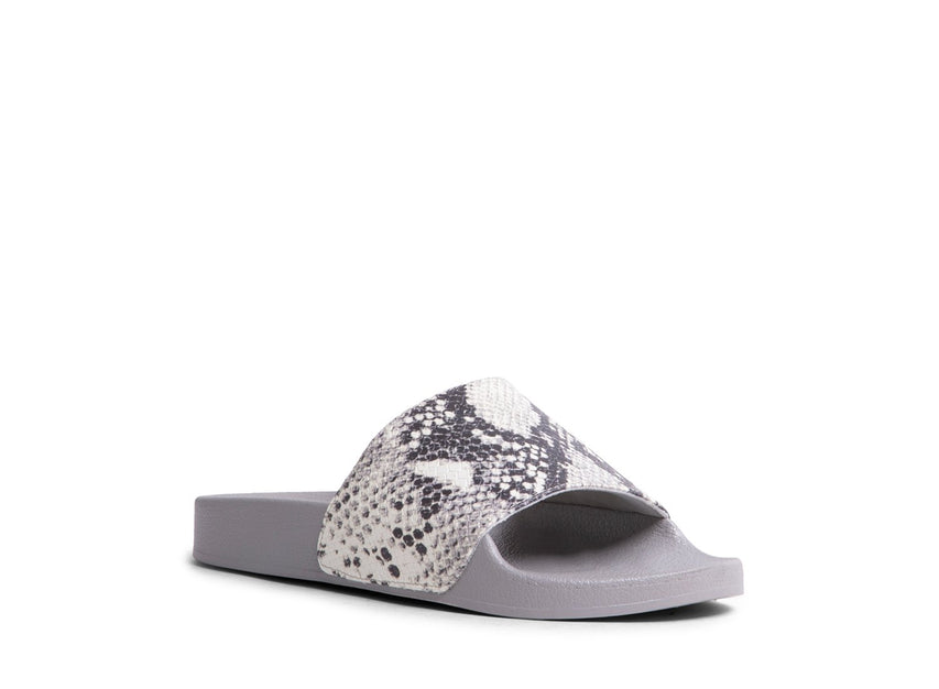STEPHY GREY EXOTIC - Shoes - Steve Madden Canada