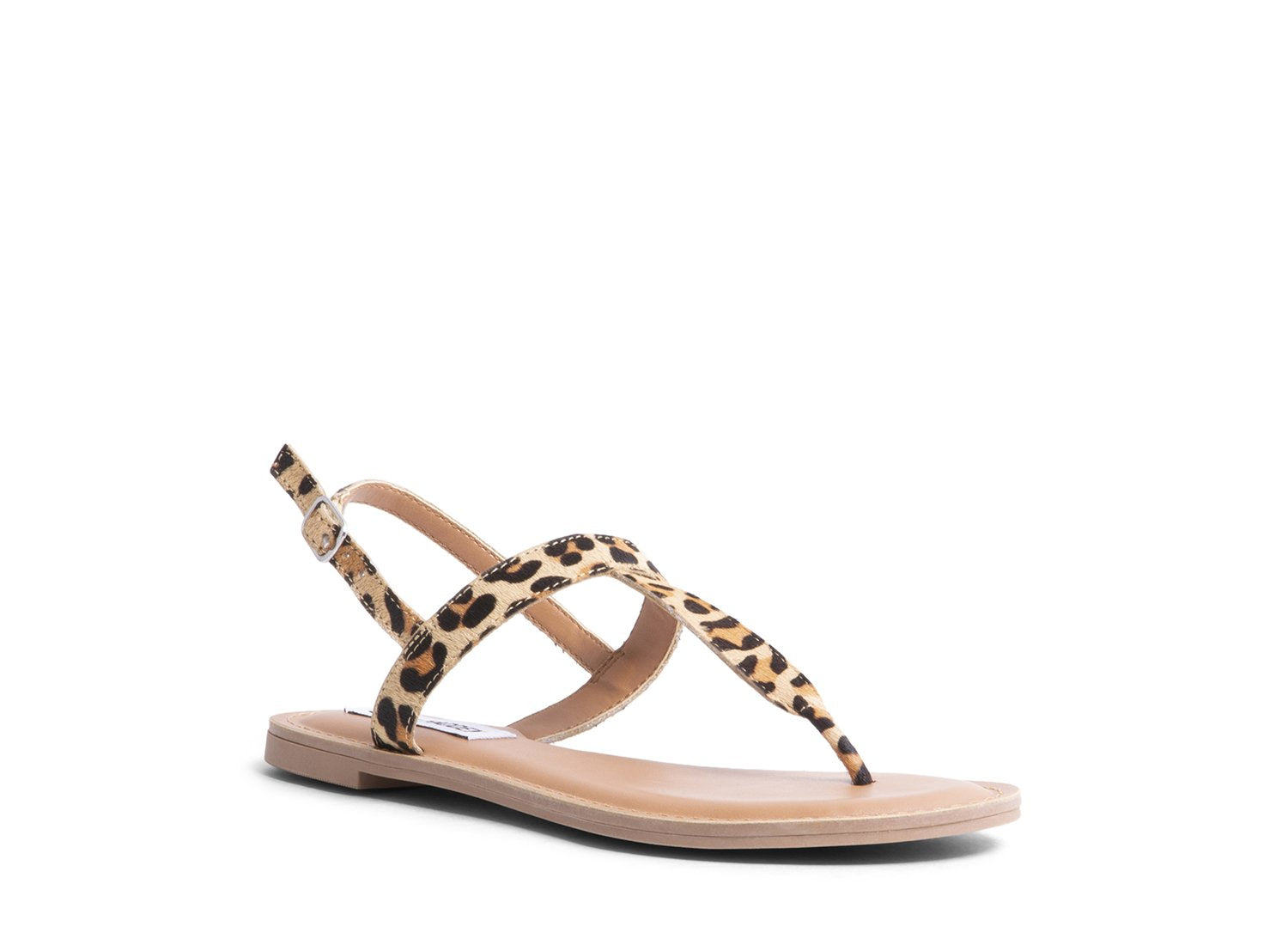 UNITE-L LEOPARD - Shoes - Steve Madden Canada