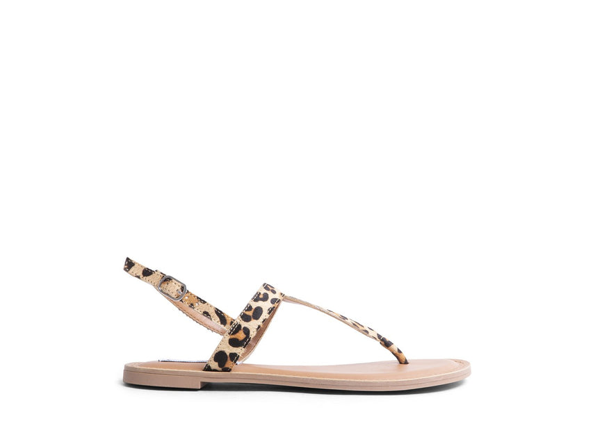 UNITE-L LEOPARD - Shoes - Steve Madden Canada