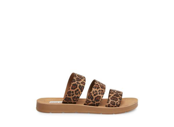 PASCALEE LEOPARD - Shoes - Steve Madden Canada