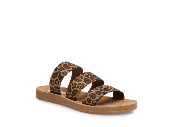 PASCALEE LEOPARD - Shoes - Steve Madden Canada