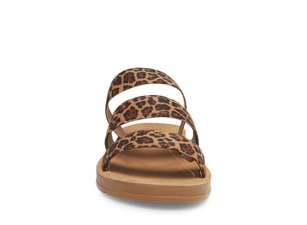 PASCALEE LEOPARD - Shoes - Steve Madden Canada
